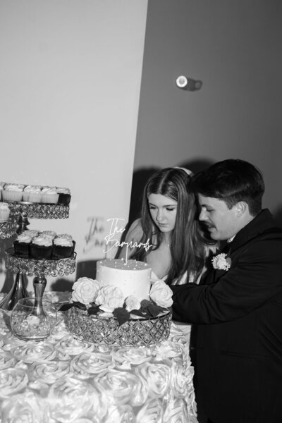 Bride and groom cutting cake on their wedding day — Madison Abernathy Photo