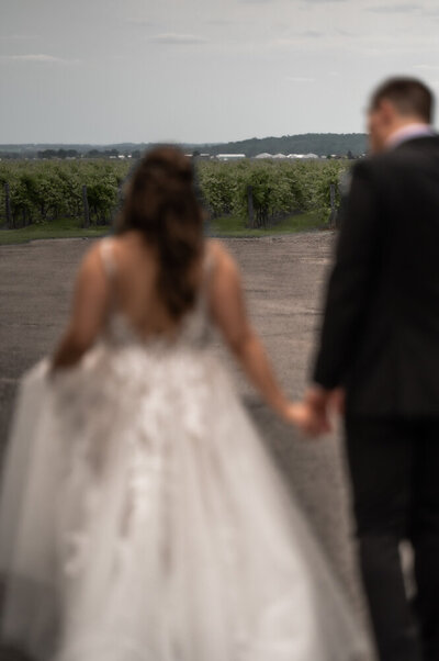 bride groom walking in vineyard at Holland Marsh Winery