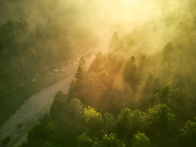 landschaftsfotografie-naturpark-nebelwald-morgenstimmung-atelier-schulte