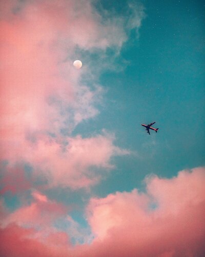 Dina-Grishin-Coaching-pink-sky-plane-moon