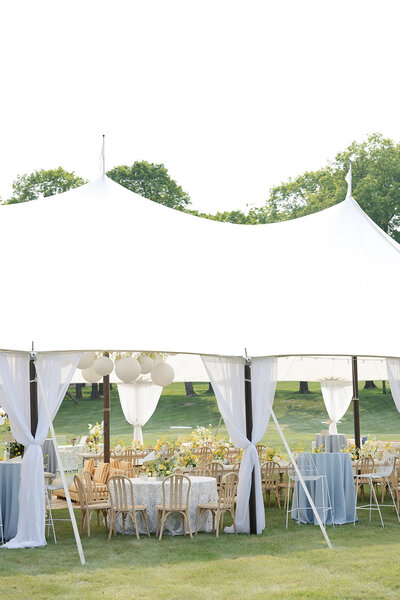 loui_photography_graduation_party_minnesota-17