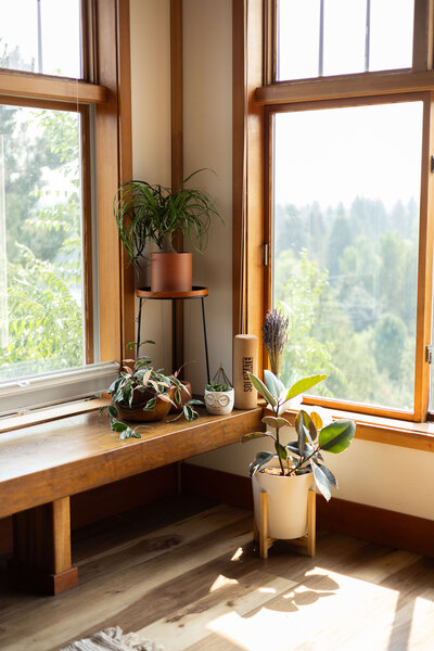 Calming interior of Throughline Wellness Studio in Bend, Oregon, where Dr. Parkar Price provides somatic and visceral therapy.