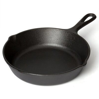 lodge seasoned cast iron clean products