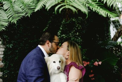 San Francisco pet photography
