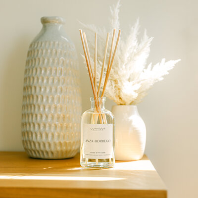 flat lay product photographer sunscreen