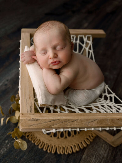 Newborn portrait of a baby boy on a  Hello Little Props web