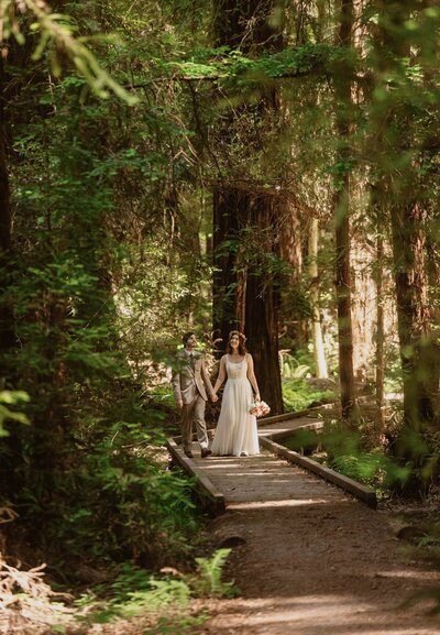 Couple holds hands as they walk down a path in the Mendocino redwoods on their wedding day 