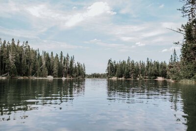 Sacramento Wedding Photographer captures forest landscape before wedding