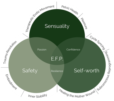 EFP cirlce graphic