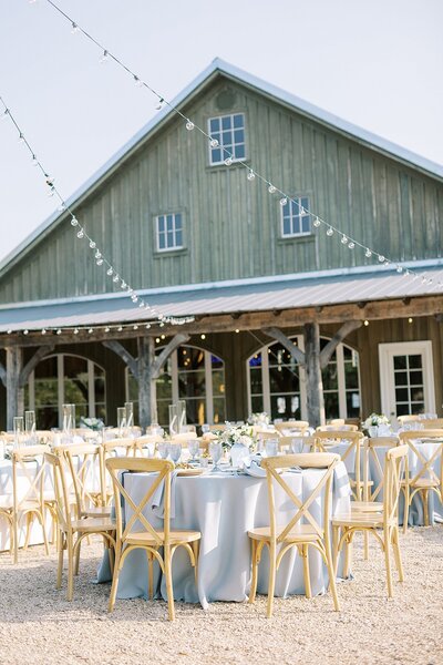 Image of Northern Virginia wedding venue called Stone Tower Winery. View of vines, lake, and mountains during summer wedding captured by Ashley Eagleson Photography.