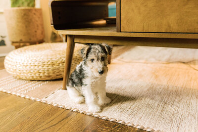 20200126_LoafPics-21