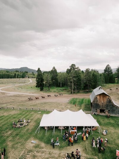 bride, groom and officiant at spring creek ranch reciting vows during their jackson hole wedding