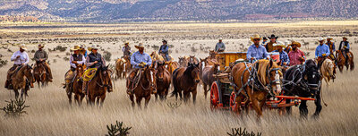 Horses on New Mexico Ranch