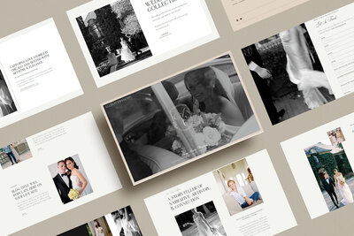 Mockup to show an example of showit branding and website designer​ Palme Design Co