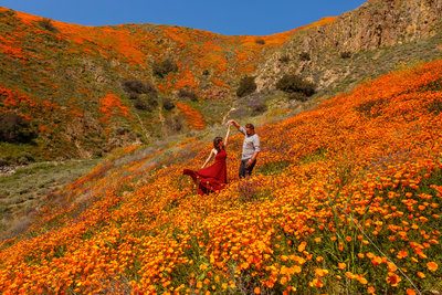 This engaged couple enjoying CA wildflowers.