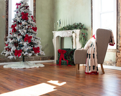 christmas_photography_studio_atlanta_5