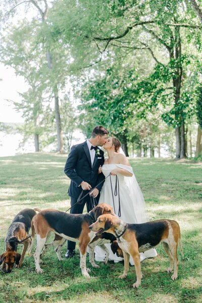 Bride and groom kiss with their three dogs nearby.