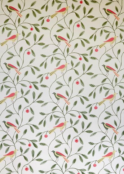 Arbutus
