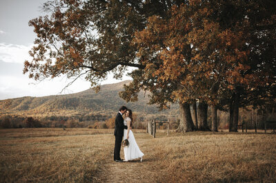 Charleston Phoenix Wedding Elopement Photographer-79-AZ6_3933
