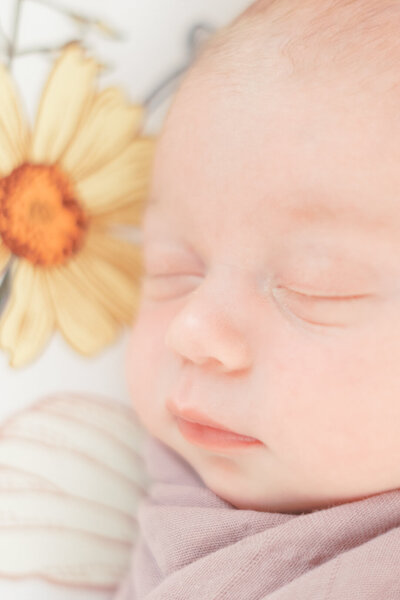 A close-up photo of a newborn baby girl sleeping on a floral sheet. The focus is on her facial features in this sweet photo captured by a photographer who specializes in newborn photography in Austin, TX