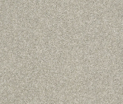 Light Neutral Carpet