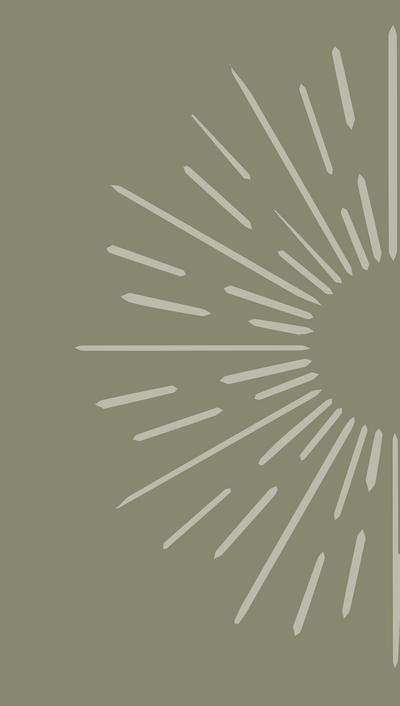 Harper Grace Wellness, fully custom branding, branding, health & wellness, wellness branding, holistic healing, custom branding