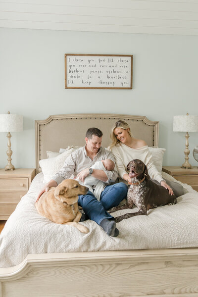 Parents sitting on bed holding newborn with their dogs by them. -Newborn Photographer Greenville