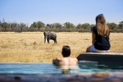 Romantic safari lodge with poolside elephant viewing in Botswana or South Africa