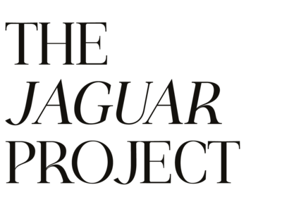 JAGUAR PROJECT