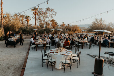 Caitlyn+Jake_Palm_Desert_Destination_with_Seattle_Jen_Lynn_photohraphy_2025-929