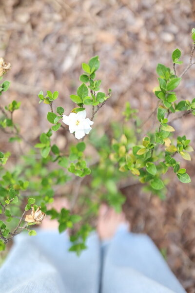 CCD78F63-9702-4A6B-BC11-FDA45CEA8C44_1_105_c