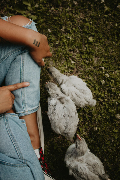 chicken-session-24