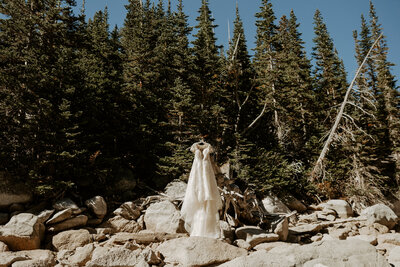 Venture to Elope Leave No Trace