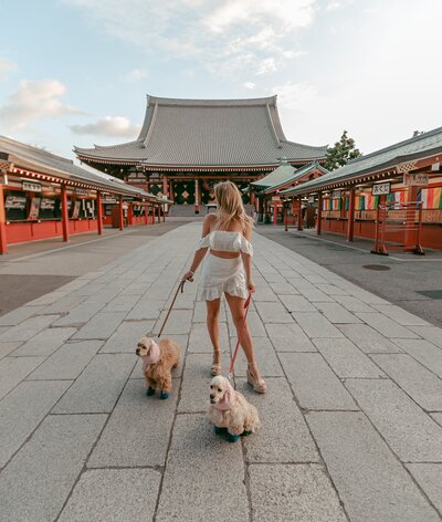 jake-nackos-zQYVEFYlsFM-unsplash