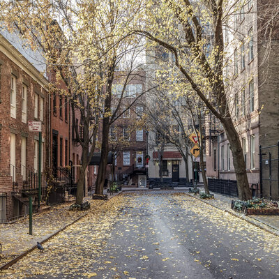 beautiful fall leaves in side street