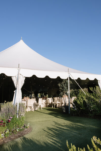 miranda jean photography