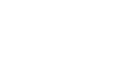 Anti Bride