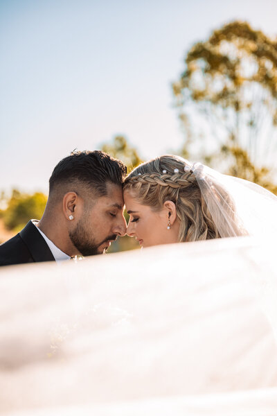 A joyful wedding party poses together for a photo in front of a beautiful tree, capturing a moment of celebration.