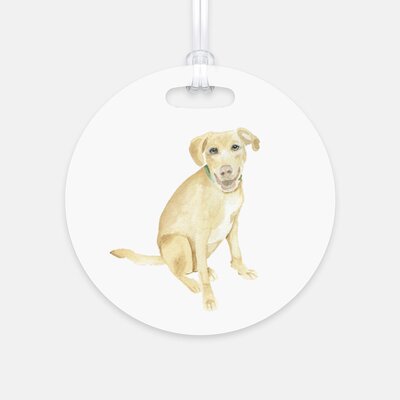dog-luggage-tag-The-Welcoming-District