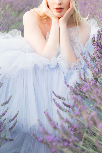 Lavender-Field-Provence-France-Bride-1