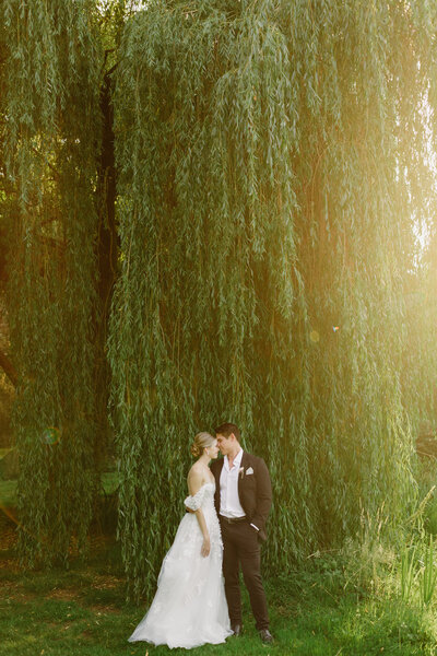 couple embracing under a willow tree at their seattle wedding