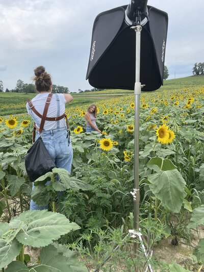 A BTS photo of heidi iliff shooting a senior in a sunflower field.