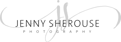 Main Logo Transparent Background