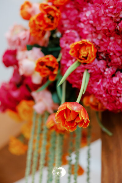 Orange tulips and pink hydrangeas hang from arbor at The Grand at Willow Springs in Prairie Grove, Arkansas