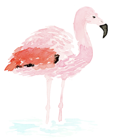Flamingo watercolor illustration by Oh So Chic Designs