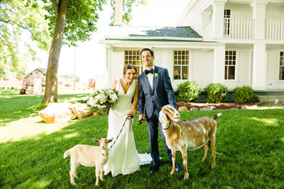 A wedding couple standing with goatswhile holding hands in front of the white farm house at Zingermans Cornman Farms in Dexter Michigan