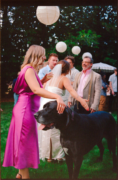 Wedding photo film candid documentary portland oregon seattle california bride veil