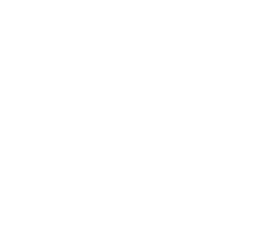 hand illustrated flower bowl