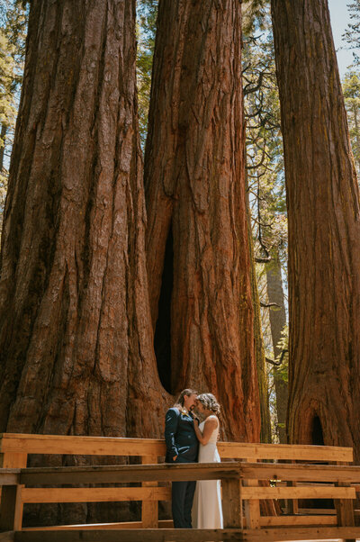 about my where to elope in california-22