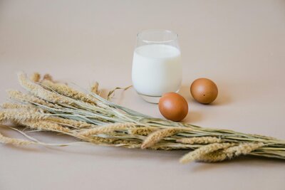 Eggs, a glass of milk, and wheat on a beige background representing common food allergens tested at Wellness and Hormone Health in Centennial, CO